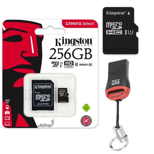 Kingston SDXC SD Memory Card 64GB 128GB 256GB Micro SD Memory Card Reader - Picture 13 of 16
