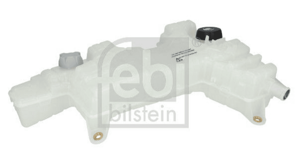 AusgleichsbehäLter KüHlmittel FüR DAF LF-image