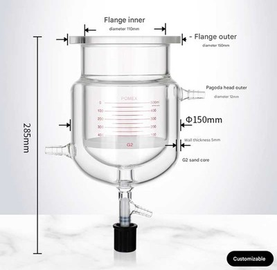 500ml Glass Reaktorflasche Doppelwand mit G2 Sandkernfilter Laborgerät