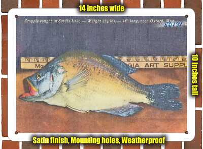 Metal Sign Mississippi Postcard Crappie Caught In Sardis Lake Weight 