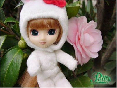 Little Pullip Jun Planning Groove Fashion Doll Posable Figure New