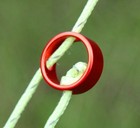 10x Dreilochspanner Schnurspanner Zeltspanner Zeltleine Leinenspanner Aluminium