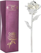 Love Forever Long Stem 24K Gold Foil Trim Red Rose Flower, Best Valentine'S Day,
