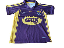 O'neills Wexford GAA SHIRT TRIKOT JERSY CAMISETA MAGLIA size 10/11