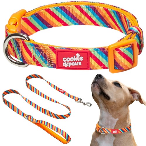 Soft Neoprene Padded Dog Collar and Leash Set for Medium Dogs | Comfortable, ...