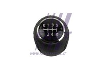 FT73226 Fast Schalthebelknauf FüR CitroËN,Fiat,Peugeot
