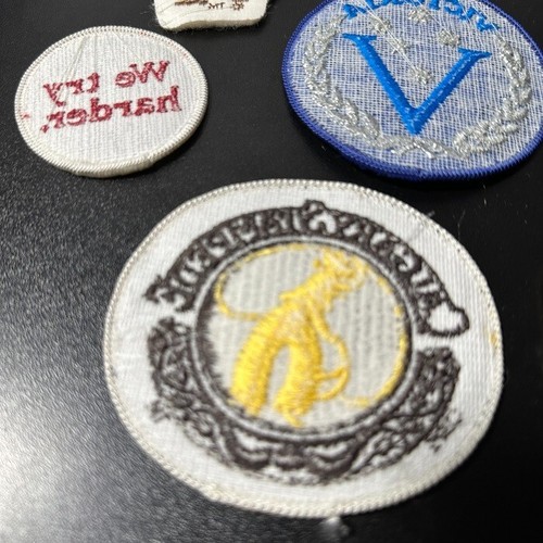 Eclectic Set of 8 Unique Embroidered Patches for Customization and Style - Picture 8 of 10