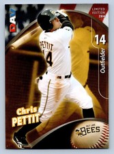 Chris Pettit 2009 DAV Salt Lake Bees Minor League Baseball Card #264