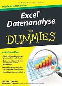 Excel Datenanalyse für Dummies von Nelson, Stephen L. | Buch | Zustand gut