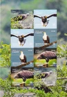 Tonga 2023 Sheetlet with 2 sets Birds Eagles MNH IMPERFORATED