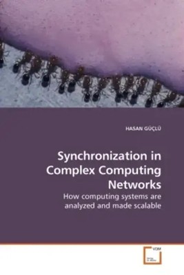 Hasan Güclü | Synchronization in Complex Computing Networks | Taschenbuch