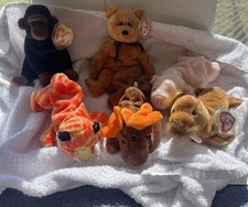 Ty Beanie Babies. Lot of 6. All Have Tags and All Have Clear Storage Case