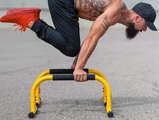 Lebert Equalizer Parallettes Bars Workout Calisthenics Push Up Bodyweight Bar