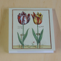 Tulpen 1X Klebezettel Haftnotizen 50 Blatt Notizzettel Blumen Botanisch