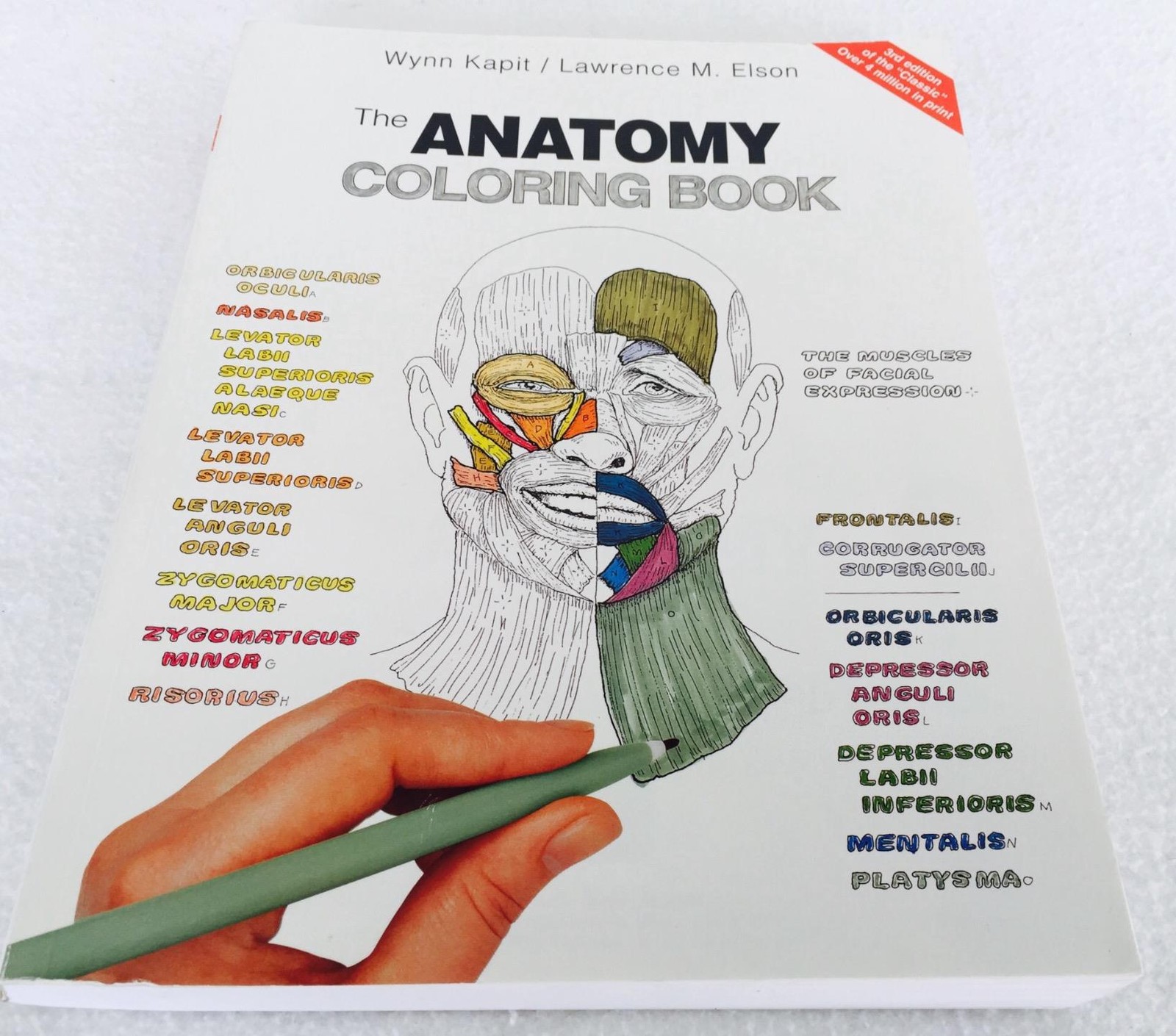 The Anatomy Coloring Book By Wynn Kapit & Elson 3rd Third Edition ...