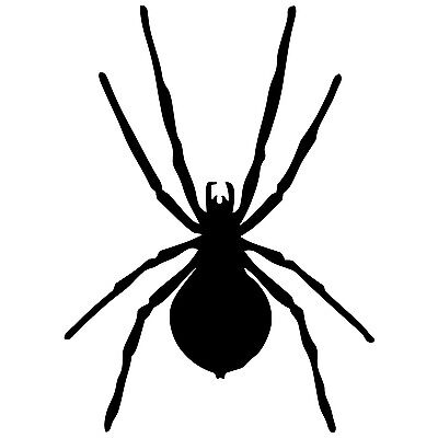 1x Tarantula Spider Voiture Van Vinyle Stickers Autocollants Graphique Fenêtre Halloween
