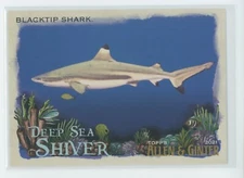 Topps Allen & Ginter 2021 - Blacktip Shark - Deap Sea Shiver Insert Set DSS-8 NM
