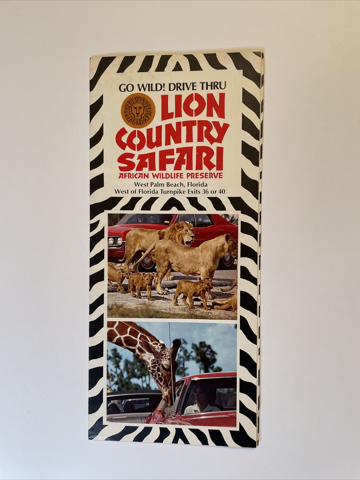 Lion Country Safari West Palm Beach FLORIDA vida silvestre africana años 70