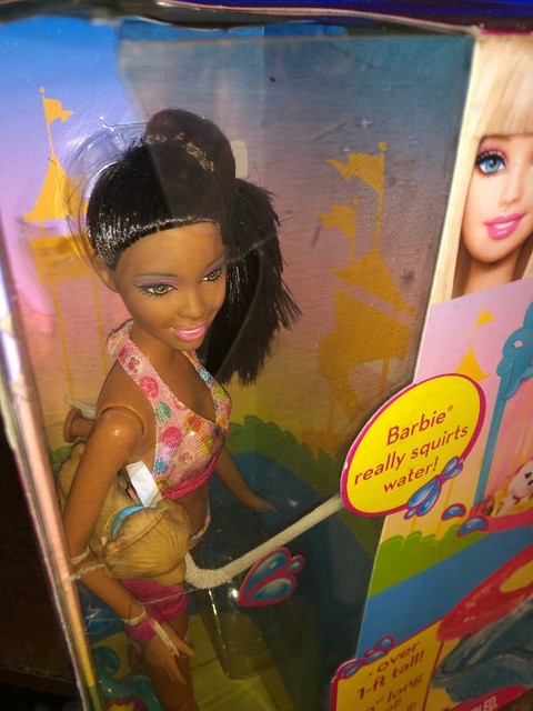 安心発送 Park Puppy Barbie バービー人形 Water Playset Park 人形 Centreorthopediquejl Com