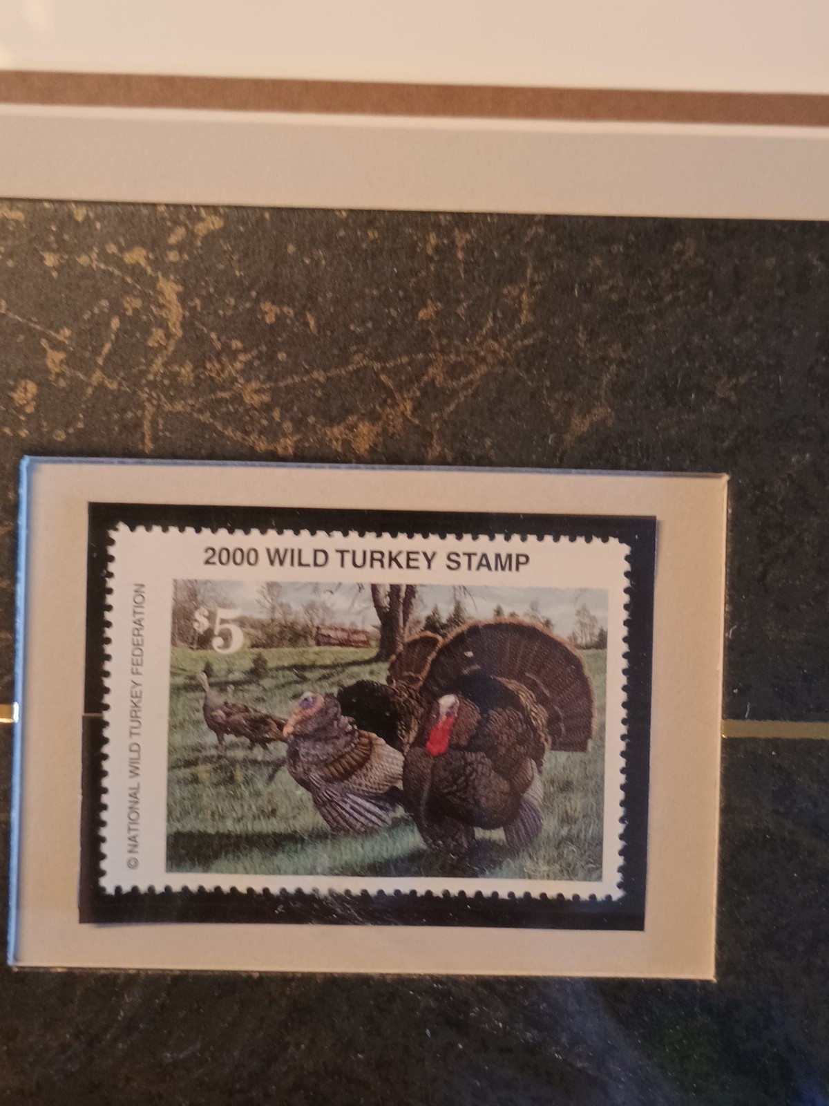 Picture 6 of 8