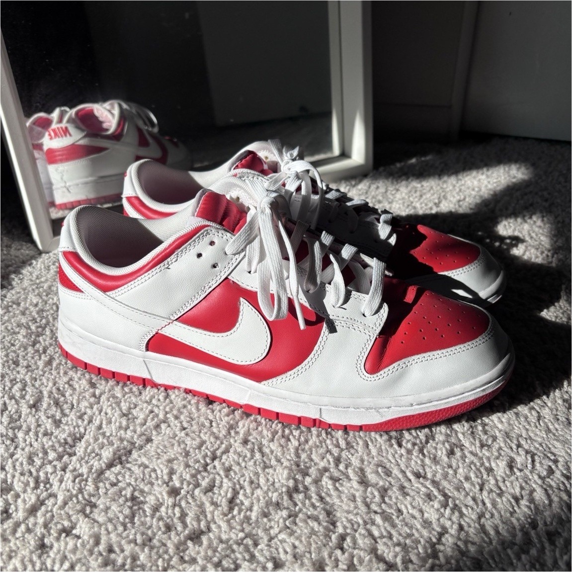 Nike Dunk Low Retro 