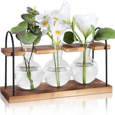 Bulb Vase with Wooden Stand Clear Hydroponic Vase for Indoor Desktop