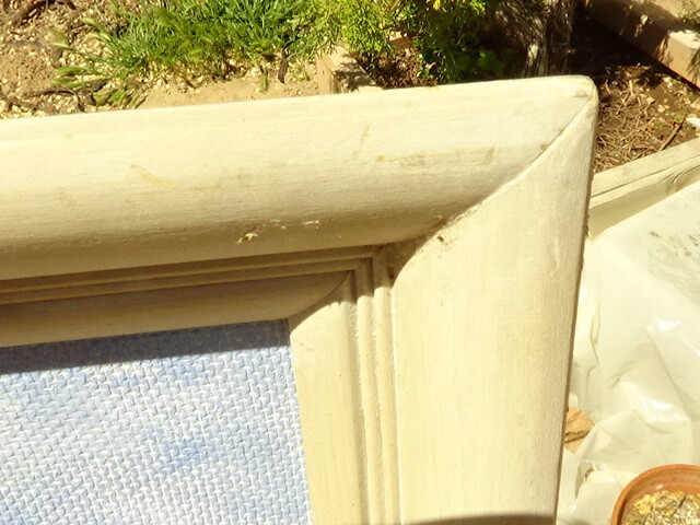 Picture 5 of 12