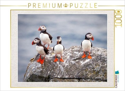 CALVENDO Puzzle Papageientaucher in ihrer natürlichen Umgebung | 1000 Teile Lege