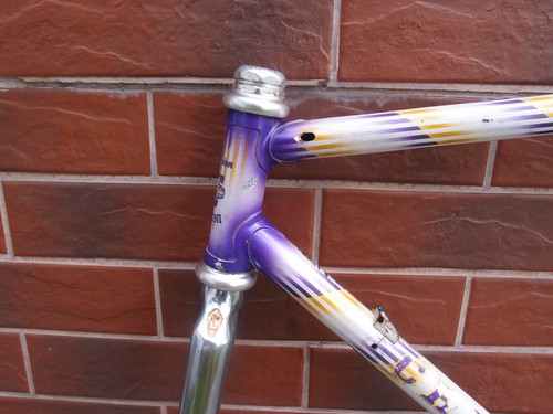 frame set Chesini Precision Model 83 Columbus SL? Italy Stronglight Campagnolo - Picture 3 of 24