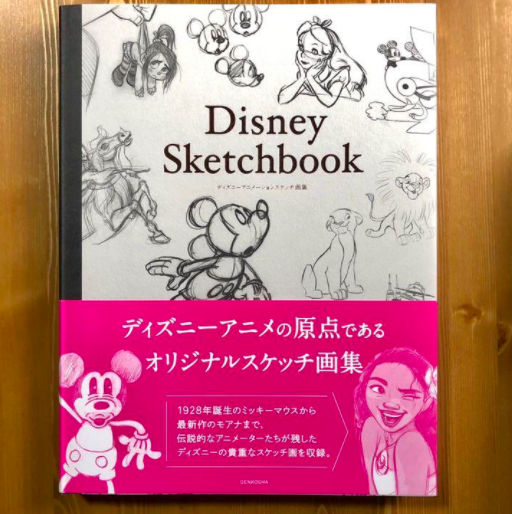 Disney Sketchbook Disney Animation Original Sketches Art Book from