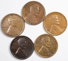 1919-P Lincoln Wheat Cent 5 Coins Extremely Fine