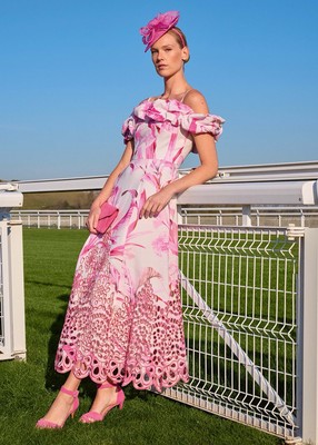 Petite Hobbs Esme Dress Phase Eight Petite Beautiful Pink Esme