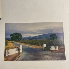 California CA Santa Clara County Los Gatos Almaden Vineyards Postcard Old View