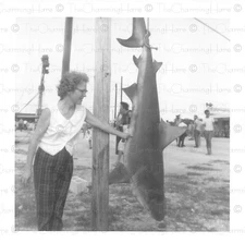 Vintage Photo Woman Posing with Large Shark Catch Dockside Fishing Scene 1950's