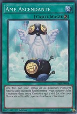 Yu-Gi-Oh: Ascending Soul - THSF-FR054 - Super Rare - NM - FR