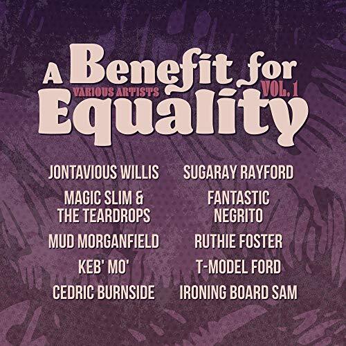 VARIOUS ARTISTS Benefit For Equality Vol. 1 VINYL LP NUOVO