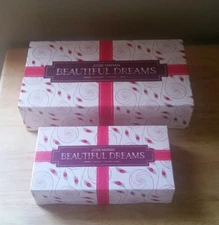 2x Josie Maran Gift Boxes Small/Medium EMPTY Paper Box New