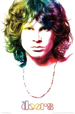 The Doors Band Jim Morrison Pop Art Poster 22x34 | eBay