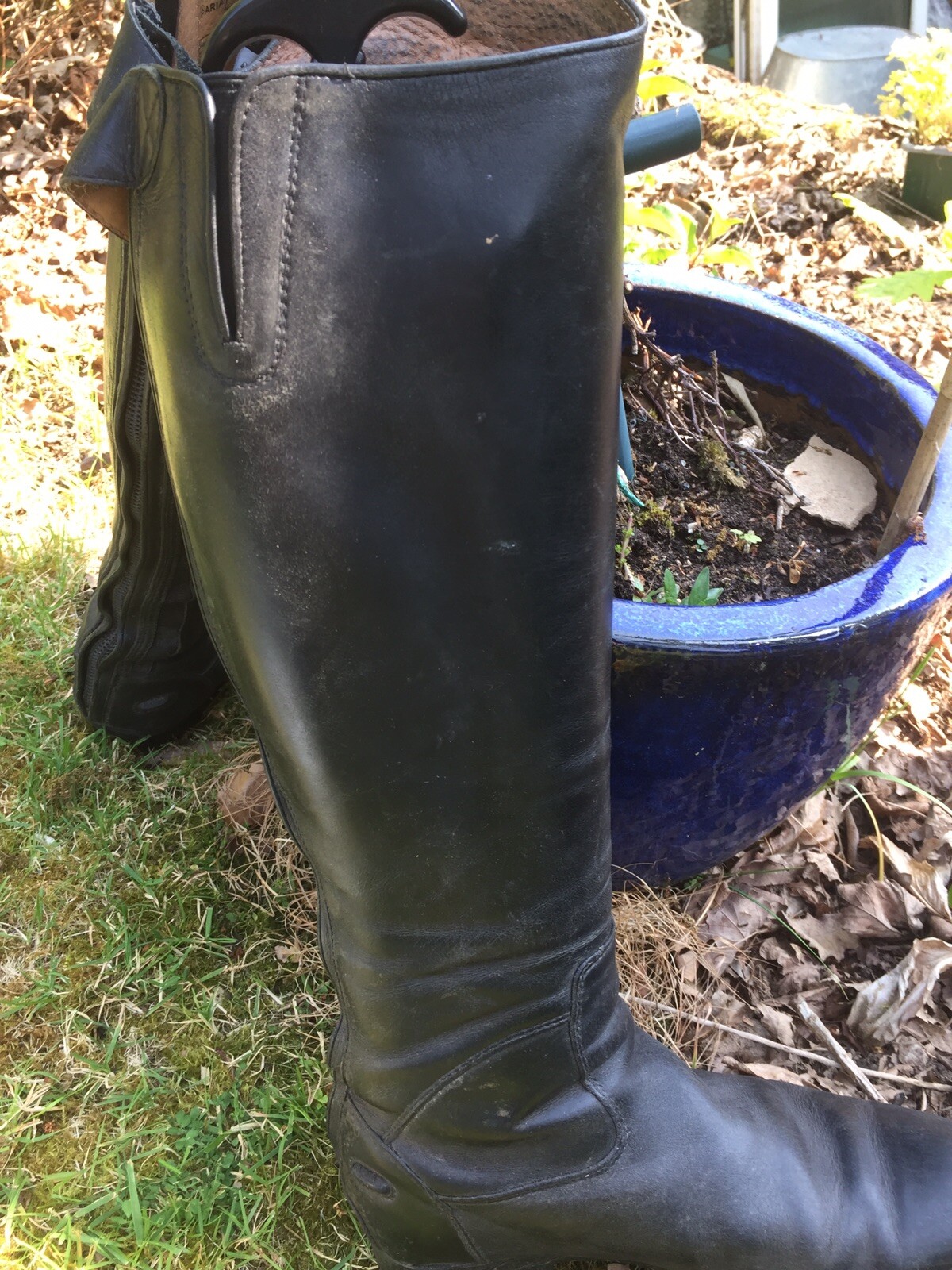 ariat long riding boots eBay