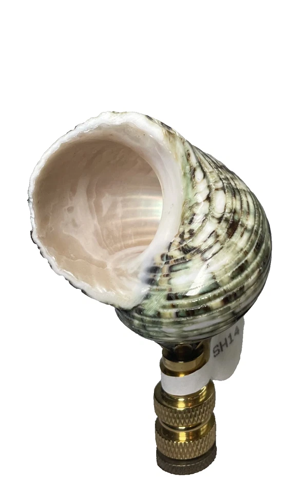 Acabado de pantalla de lámpara costera concha marina verde náutica Foto 2 de 4