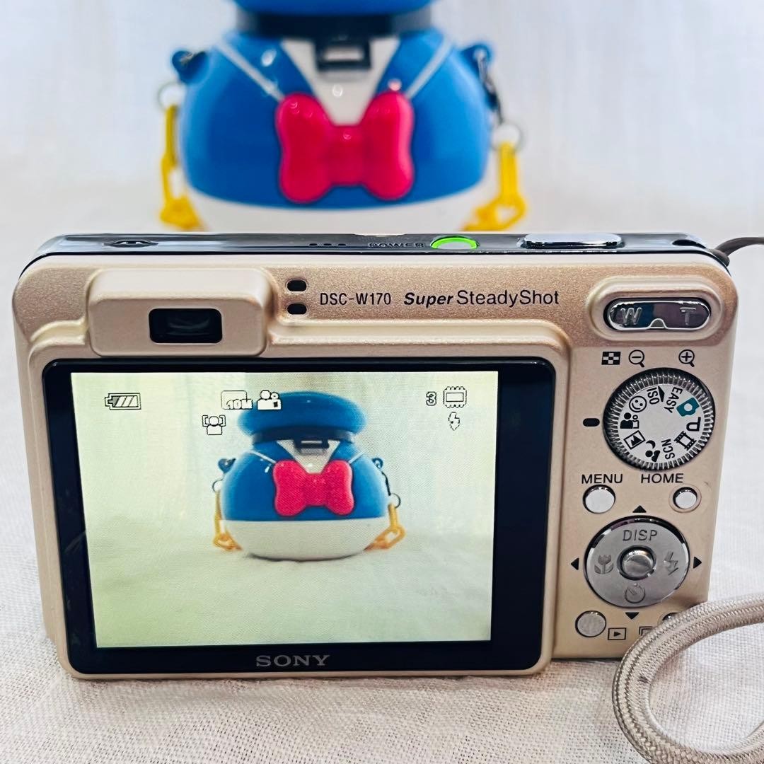 Sony Cyber-shot DSC-W170 10.1MP Digital Camera - Silver (DSC-W170