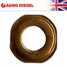 Fuel Injector Washer Seals AG250 Fit DCRI106130 8-97376270-3