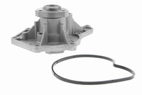 Wasserpumpe Vaico V10 50066 FÜR Audi KÜHlmittelpumpe Wasserkreislaufpumpe