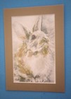 Foto 1 di 3