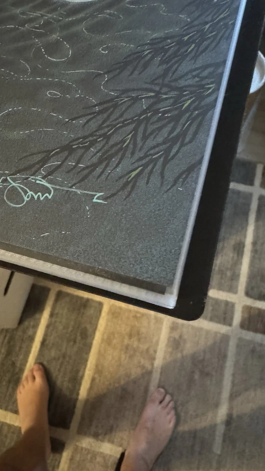 Widespread Panic SE 阿什维尔 2024 年 7 月海报 Spusta 状况完好!  — 第 3/4 张图片