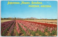 Vintage Japanese Flower Gardens Phoenix Arizona Linen Postcard PH-78