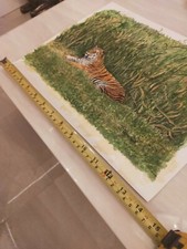 Signed by the Artist.Bengal Tiger lying in the Brush. Beautifully done painting 