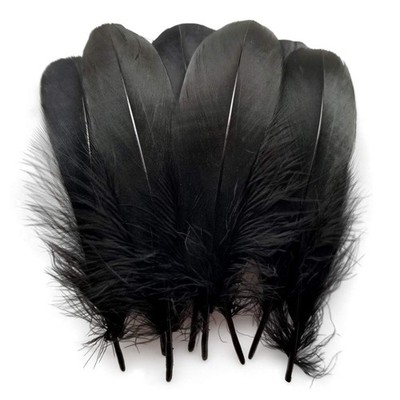 Sowder Natural Goose Feathers Clothing Accessories Pack of 100(Black) Black 