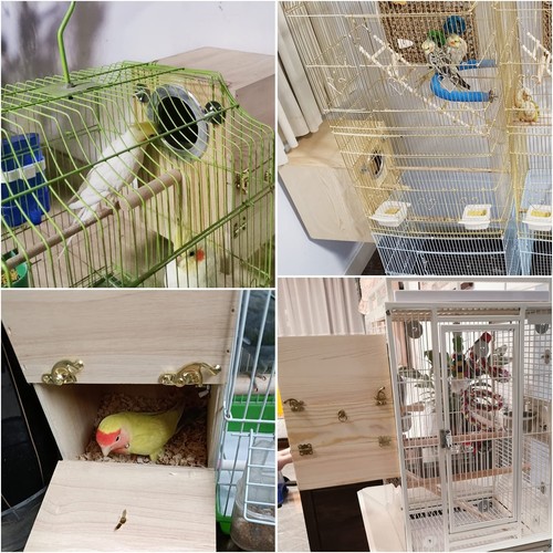 Parakeet Nesting Box Wooden Bird Breeding Nest Parrots Mating House Wood Bird... - Picture 6 of 6