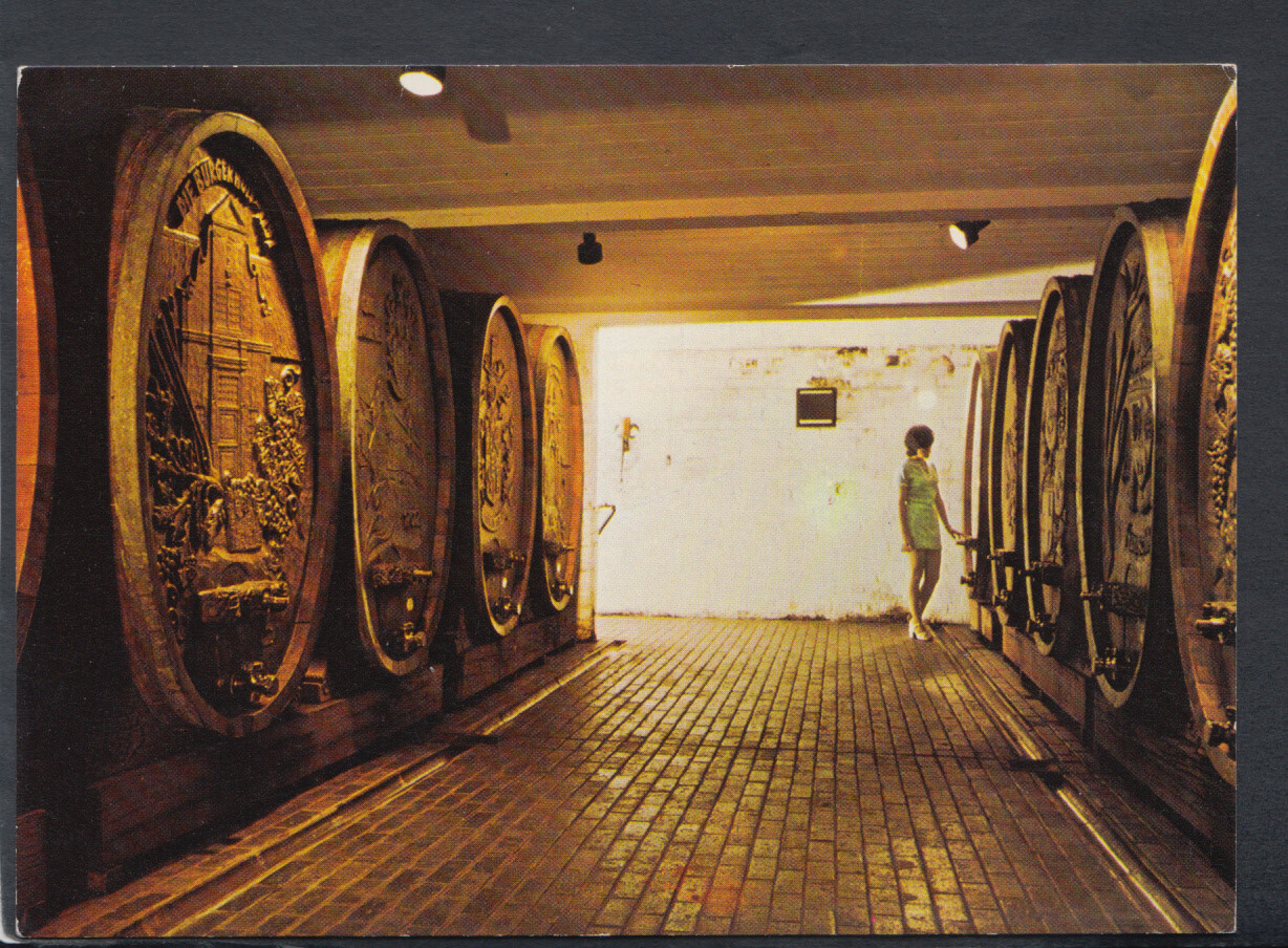 Food & Drink Postcard - Stellenbosch - Home of Fleur Du Cap Wines RR6628